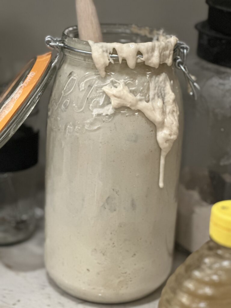 sourdough starter what and when to feed it discard recipes from scratch