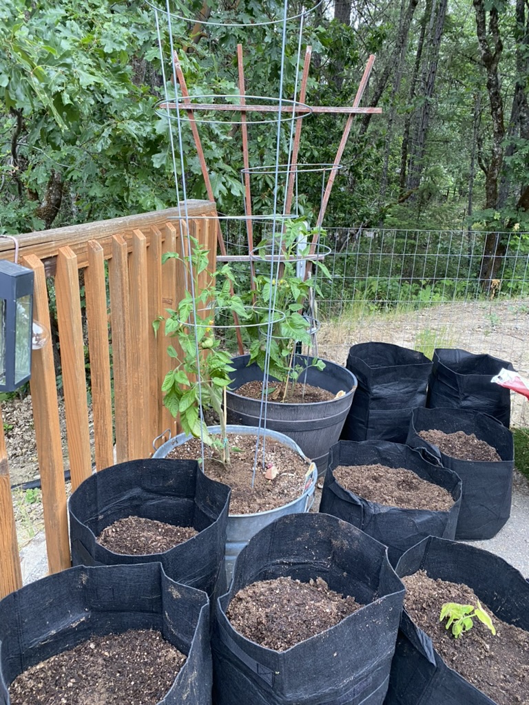 Grow bags vs raised beds gardening for beginners