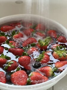 Top 10 Easy Fruits to Grow in a Home Garden self-sufficient garden Homegrown apples for pies Why Growing Your Own Fruit is Worth gardening tips