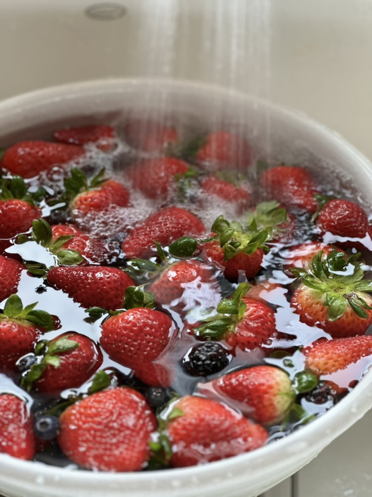 Top 10 Easy Fruits to Grow in a Home Garden self-sufficient garden Homegrown apples for pies Why Growing Your Own Fruit is Worth gardening tips
