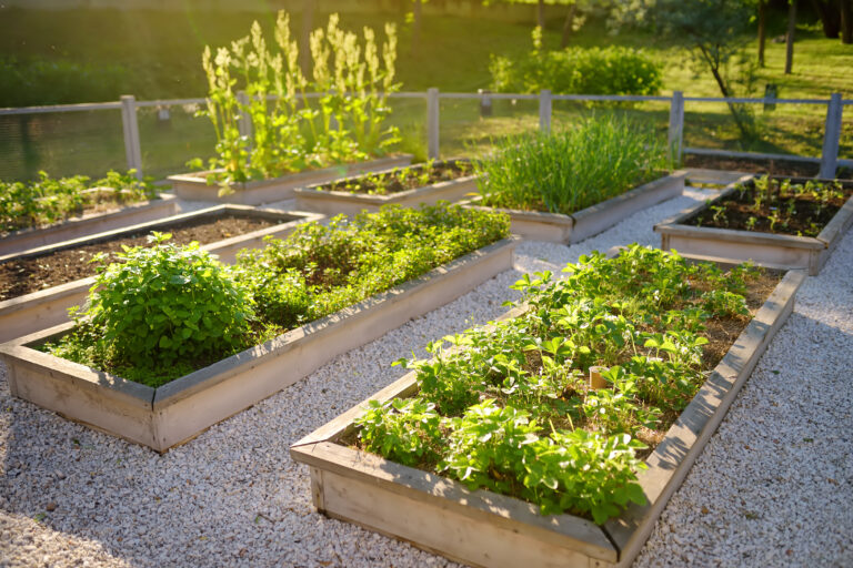 Month-by-Month Planting Guide for a Self-Sustaining Garden