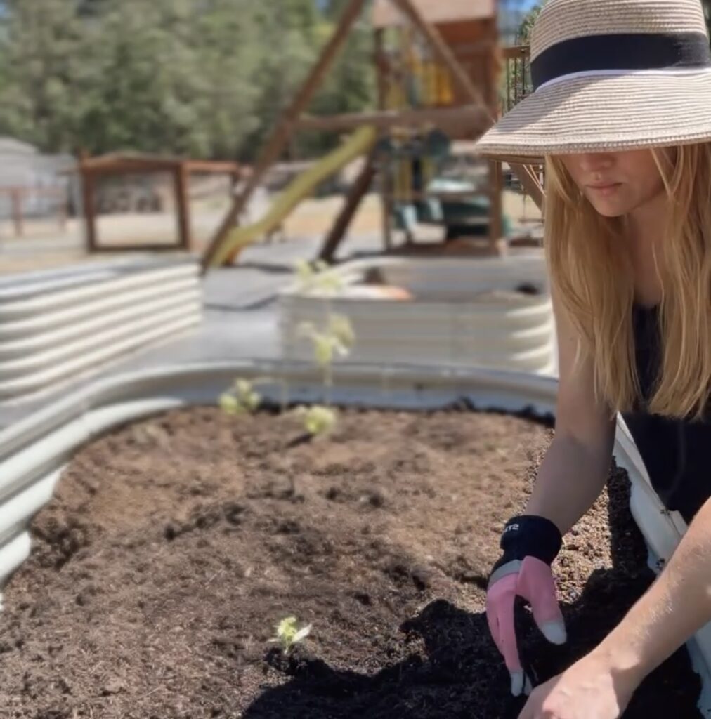 Raised Bed Gardening home garden for beginners