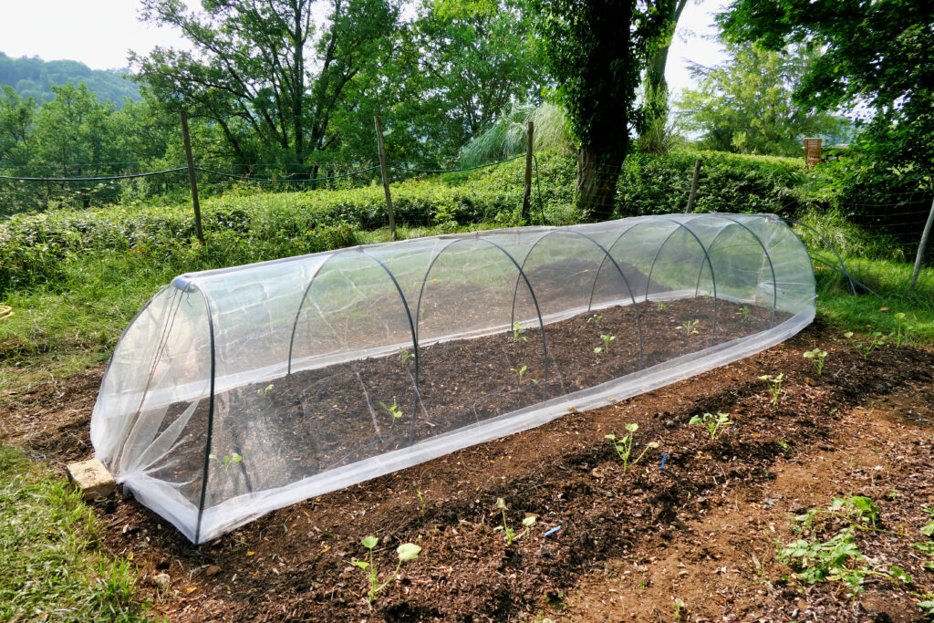 home garden gardening natural pest control organic gardening