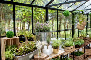 Top 5 Greenhouse Kits for Year-Round Growing