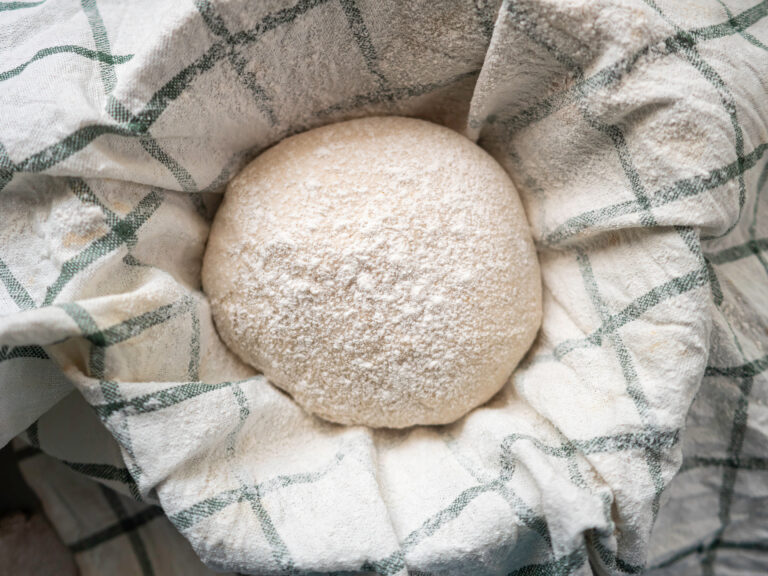 sourdough discard